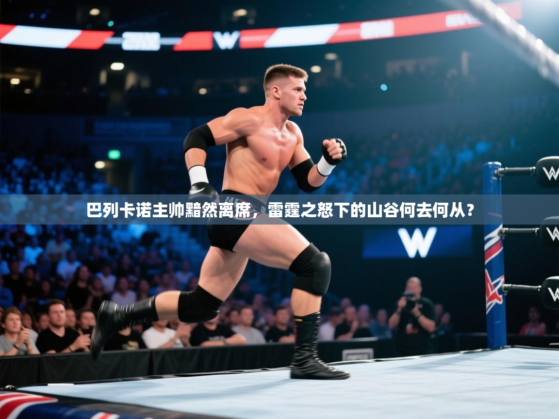 巴列卡诺主帅黯然离席，雷霆之怒下的山谷何去何从？  第1张